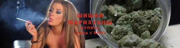 spice Алзамай