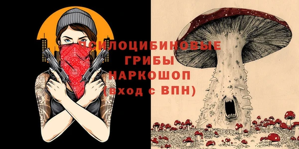 spice Алзамай
