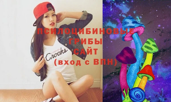 эйфоретик Алексин