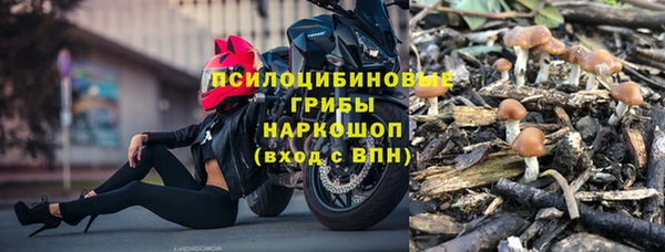 эйфоретик Алексин
