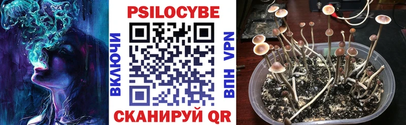 Псилоцибиновые грибы прущие грибы OMG зеркало Нолинск