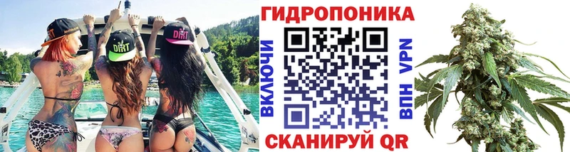 где купить   Нолинск  Конопля White Widow 